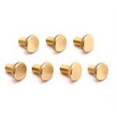 Brass Fine Tuning Screws – Floyd Rose